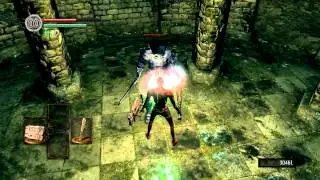 Deprived No Bonfire Run Part 10 (Stray Demon & New Londo Ruins)
