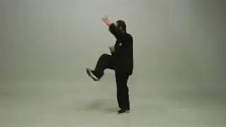Zhaobao Taichi 36 Form