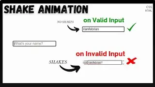 Shake Animation on Invalid Inputs using HTML & CSS