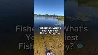 Fisherman, What&rsquo;s Your Craziest Fishing Story? 🐟 #fishing #shorts #fyp