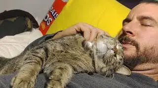 snuggle buddies