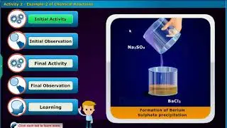 Formation of Barium Sulphate Precipitation, Class 10 Physics