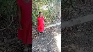 #cameralovers#shortvideoyoutube