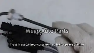 5461619 Exhaust Gas Temperature Sensor SCR System For Cummins DAF