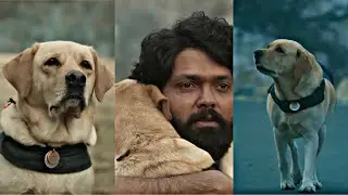 🤍 Dog Love Status 🤍 | Dogs Will Understand Your Pain Better Than Any Human 🥺 | Pure Love 🥰#doglover