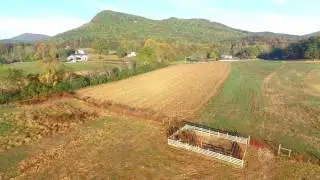 Tiger Georgia Acreage 30.8 acres