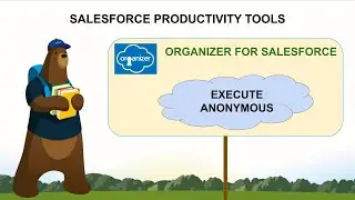 How to Run A Quick Console To Know Anonymous Apex Score |  Salesforce Organizer Execute Anonymous