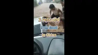 Trapped in flood: 3 rescued from car in Guangxi, China