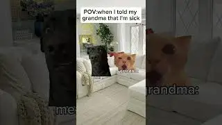 Grandma Care #viral #funny #funnycats #comedy #cat