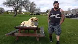 zoey