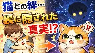 【猫好き必見】猫が一生忘れない飼い主の記憶の理由10選 #猫 #雑学 #豆知識 #トリビア