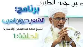 الشعر ديوان العرب ح1 محمد عبد الرحمن (ولد فتى)
