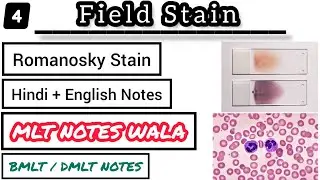Field Stain in Hindi Notes || Romanosky Dyes || Hematology Notes