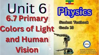 6.7 Primary Colors of Light and Human Vision