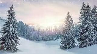 冬の光を纏う✨⛄️🎄Warm light of Winter