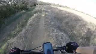Miller meadows