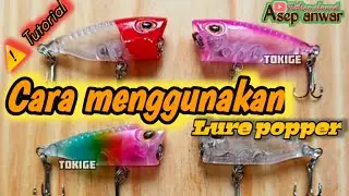 Cara mudah menggunakan lure popper untuk casting Hampala. || umpan ini cocok ketika air keruh