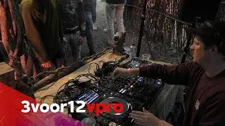 Will Oirson - live at Into The Woods 2018
