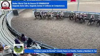 RODEO OFICIAL CLUB DE HUASOS EL SEMBRADOR, SEGUNDA  SERIE LIBRE COLLERAS EN COMPETENCIAS.