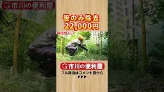 爆伸びしたササ刈り🎍『笹と竹の違いは？』【千葉県市川市の便利屋(ショート)】作業料目安・お見積りは概要欄をご覧下さい！