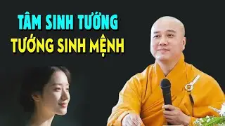 Tâm Sinh Tướng, Tướng Sinh Mệnh - Rất Hay Giảng Sư Thích Pháp Hòa