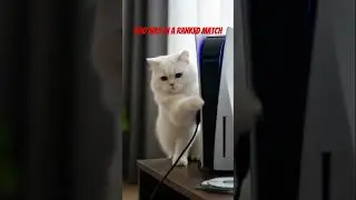 Bro was on a ranked match☠️ #trending #cat #gaming #shorts #ai #fypシ゚viral