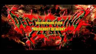 DECOMPOSING FLESH - Holocaust of agony