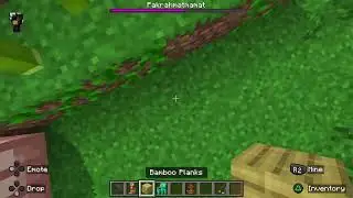 Me and my friend play Italian brainrot add on in Minecraft