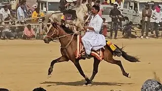 VEKRIYA HORSE REC 2026 🐎