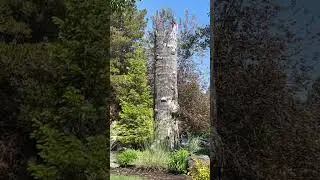 Sunriver resort #song #love #music #bollywood #lovesong #viral