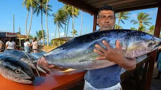 Paradise Village Fish Cutting Legends! Mr. Samantha&rsquo;s Amazing Master Skills at Hidden Coastal Market