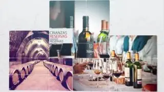 Bodegas Valduero - Ribera del Duero