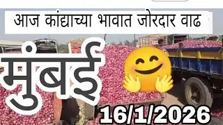 मुंबई कांदा बाजार भाव वाढले,kanda bajar bhav, mumbai kanda market report today live, onion market