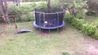 Daily Trampoline Jumping!!!!!!!!