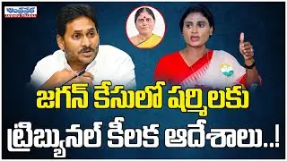 జగన్ కేసులో షర్మిలకు ట్రిబ్యునల్ కీలక ఆదేశాలు..! | NCLT Orders To Sharmila Over YS Jagan Petition