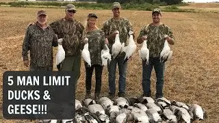 5 Man LIMIT of DUCKS & GEESE! Alberta - Day 2