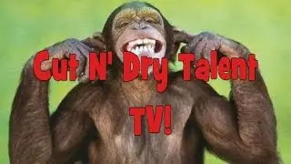 Cut N' Dry Talent TV (Episode #1.1 Indie Music Videos)