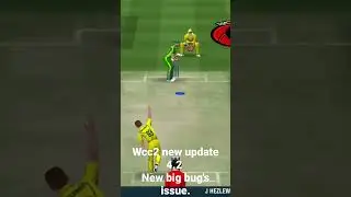 Wcc2 new update 4.2 New big bug's issue.