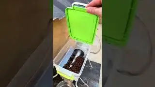 Automatic feeder #dog #cat #pets #diy