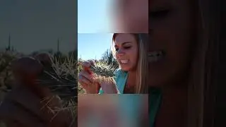 remove cactus spines 😯