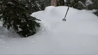 New friends on a powder (more like a wet PNW) day! 