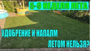 Уход за газоном  - Жара, Нитроаммофоска и Напалм. Видео №13 (02.08.2021)