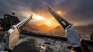 Activision made a HUGE mistake adding Duel Wield Shotguns