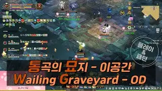 [Tree Of Savior] 통곡의 묘지 - 이공간