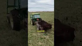 Два комбайна JD 4020 разбрасывают навоз и выполняют осенние сельскохозяйственные работы #фермерст...