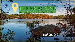 The Frog Pond (Autumn) -Sir Sandford Fleming Park - Halifax, NS