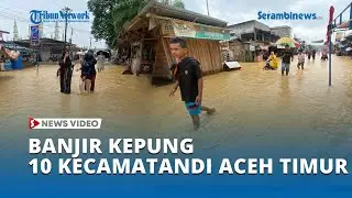 Banjir Kepung 10 Kecamatan di Aceh Timur, Warga Terpaksa Mengungsi