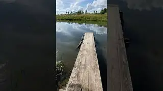 Shrapnel шрапнель князя
