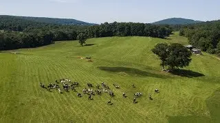 The Great Meadow Community