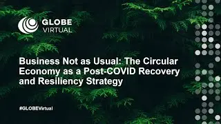 Webinar   Business Not as Usual The Circular Economy as a Post COVID Recovery and Resiliency Strateg